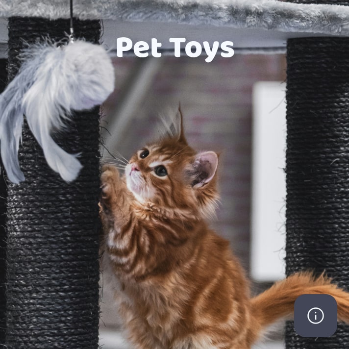 We do pet toys