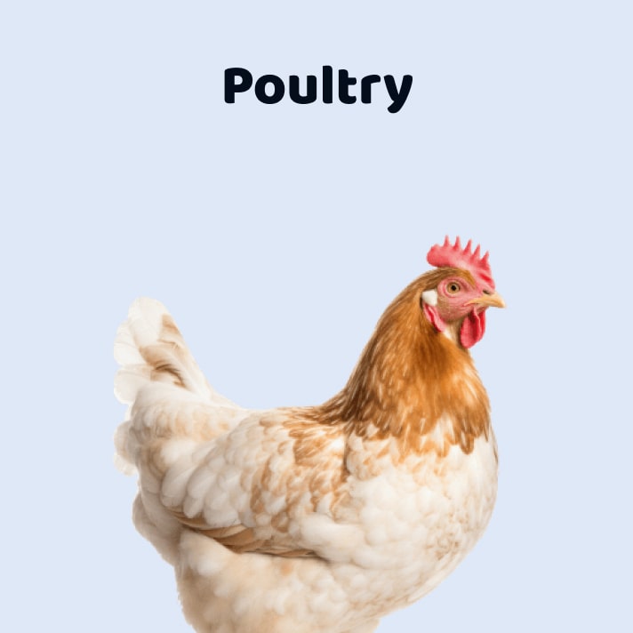 We do pet supplies for poultry